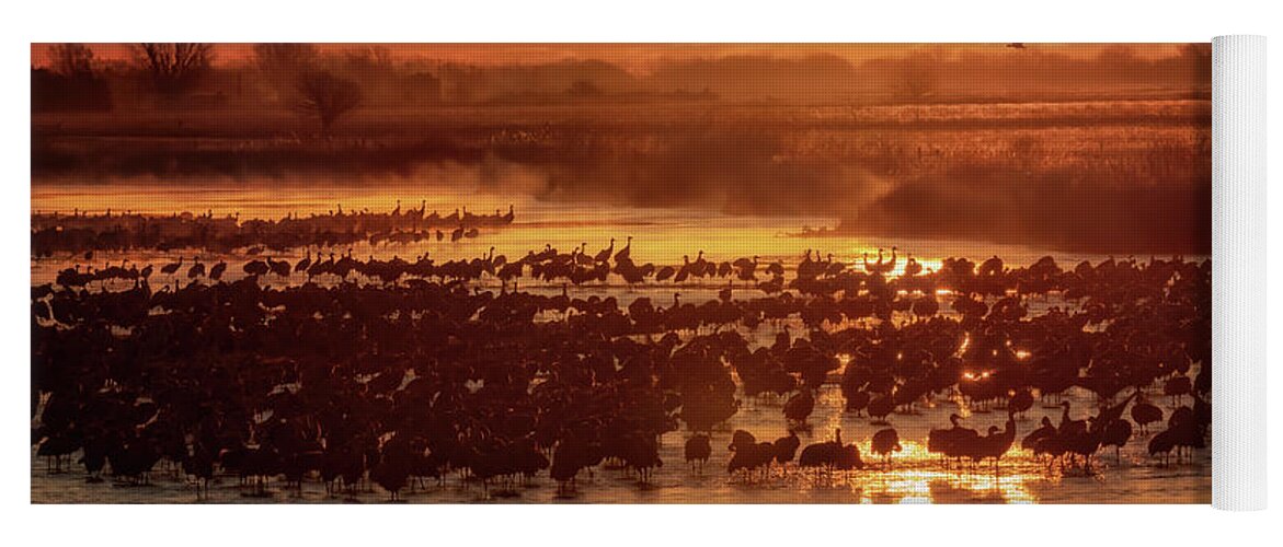 Sandhill Cranes Yoga Mat featuring the photograph Silhouettes Upon the Platte by Susan Rissi Tregoning