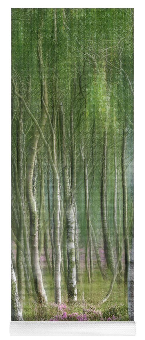 Abstract Yoga Mat featuring the photograph Silver Birch by Sue Leonard