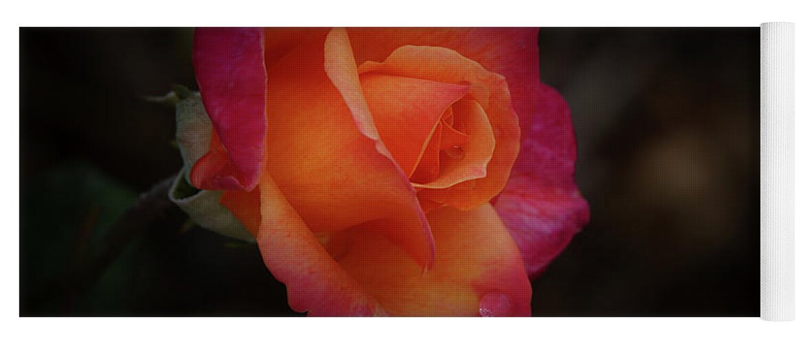 Rose Yoga Mat featuring the photograph Simple Beauty by Ernest Echols