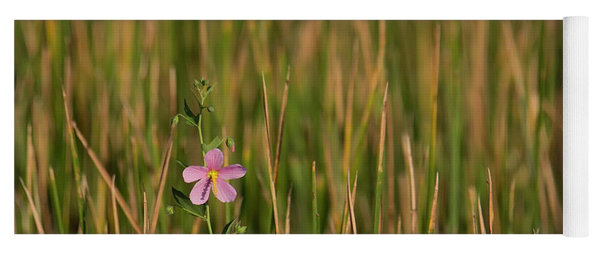 Blooming Yoga Mat featuring the photograph Single Flower Among Wetland Grasses by Charles Floyd