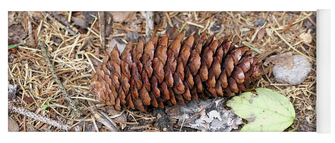 Pinecone Yoga Mat featuring the photograph Single Pinecone by Bentley Davis