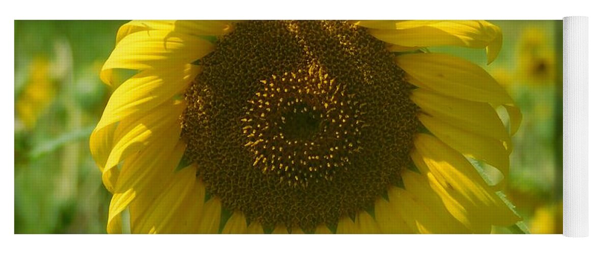 Sunflower Yoga Mat featuring the photograph Single sunflower by James Inlow