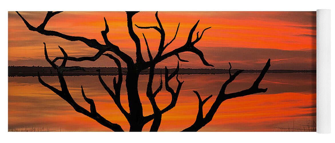 Sunset Yoga Mat featuring the photograph Skeleton Trees of Graveyard Beach 04 by Jim Dollar