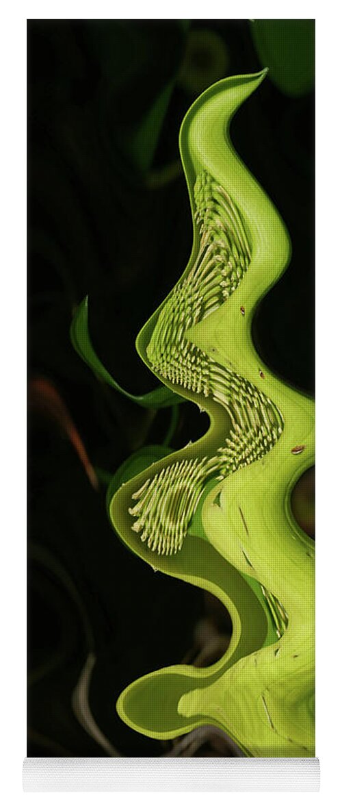 Symplocarpus Yoga Mat featuring the photograph skunk cabbage Symplocarpus foetidus flowering by Steve Estvanik