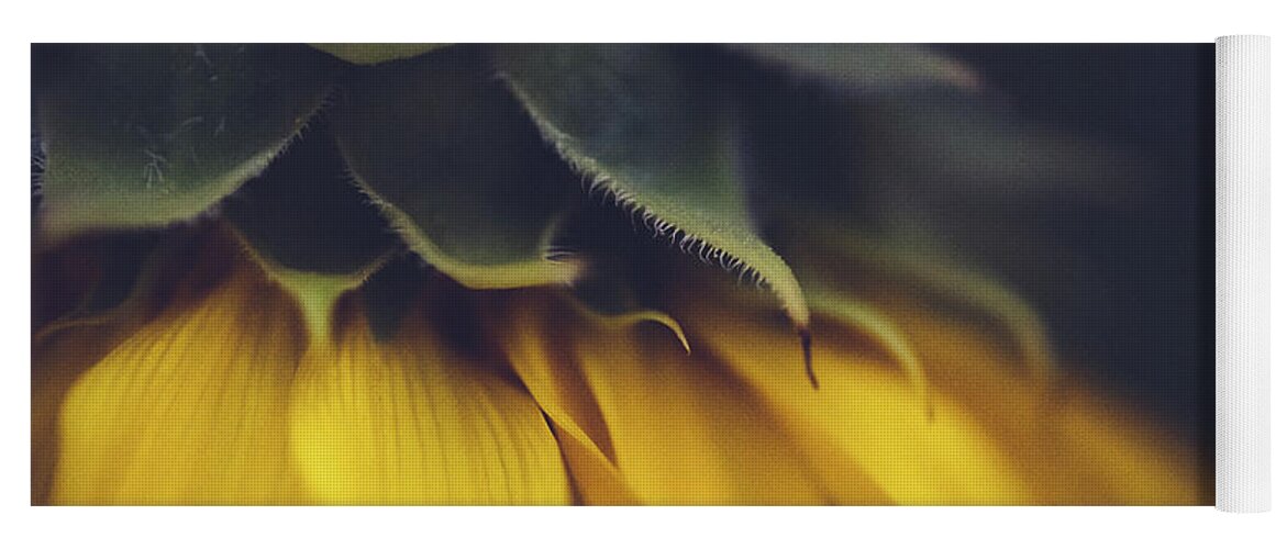 Sunflower Yoga Mat featuring the photograph Sleep Now - Sunflower by Ada Weyland