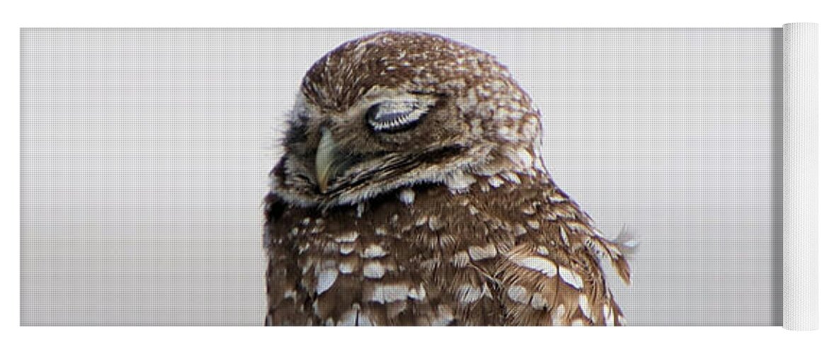 Owl Yoga Mat featuring the photograph Sleeping Burrowing Owl by Rosalie Scanlon
