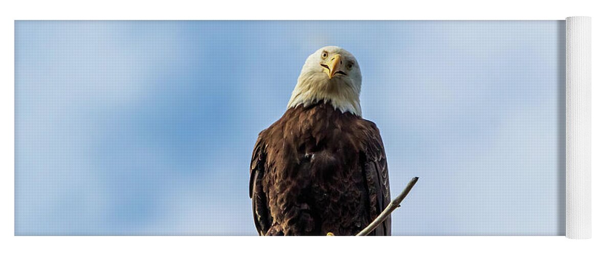 Bald Eagle Yoga Mat featuring the photograph Smiling Eagle by Chad Meyer