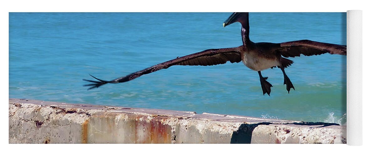 Pelican Yoga Mat featuring the photograph Smooth Landing by Vicky Edgerly