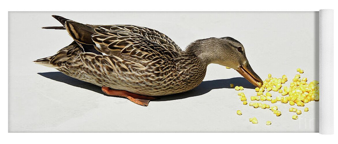 Duck Yoga Mat featuring the photograph Snack Time for Mama Duck by Michele Burgess
