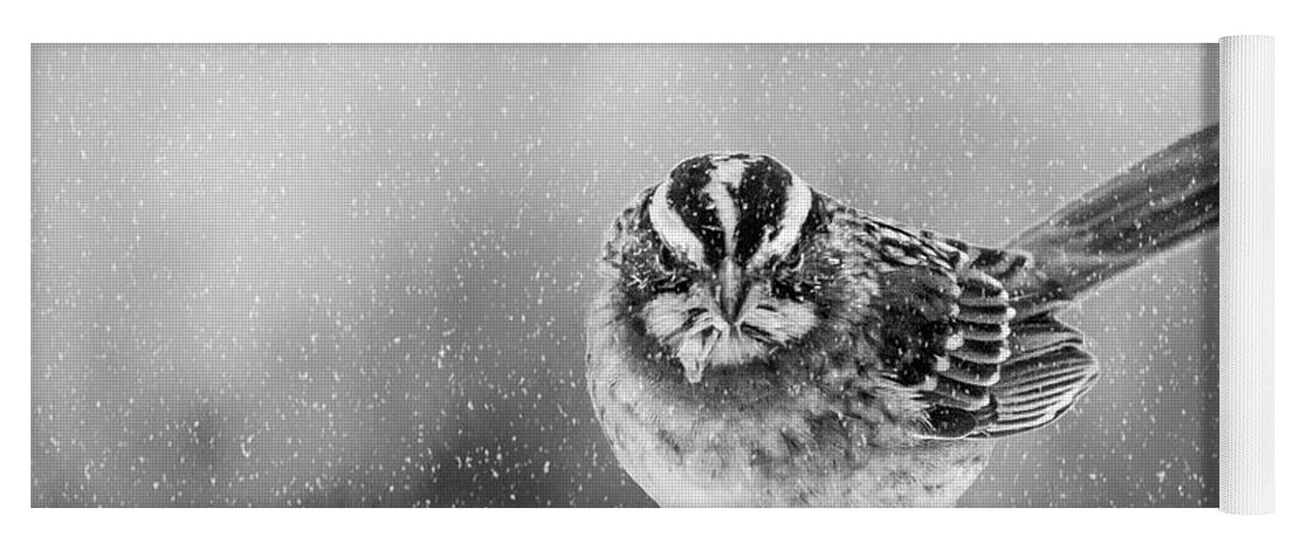 Bird Yoga Mat featuring the photograph Snow Again by Cathy Kovarik