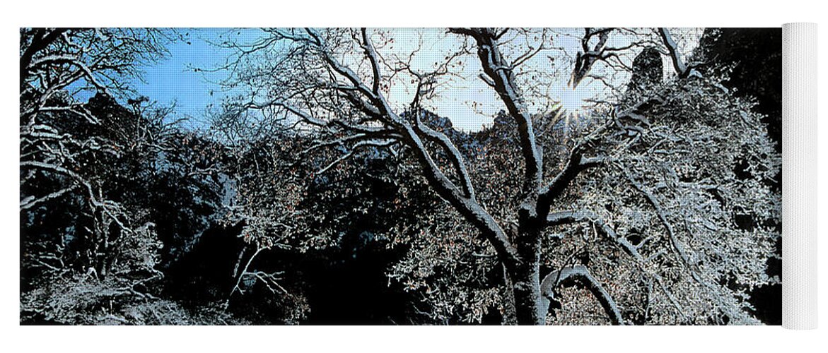 Dave Welling Yoga Mat featuring the photograph Snow Covered Black Oaks Quercus Kelloggii Yosemite by Dave Welling