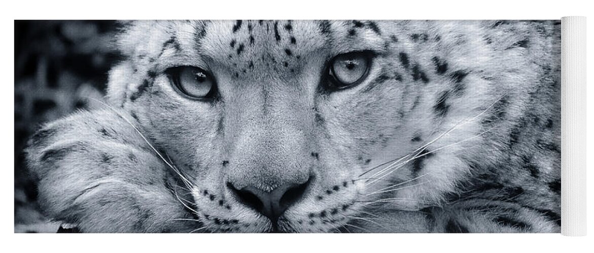 Snow Leopard Yoga Mat featuring the photograph Snow Leopard Portrait - Request by Chris Boulton