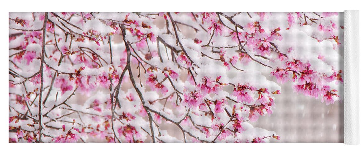 Cherry Blossoms Yoga Mat featuring the photograph Snow on Cherry Blossoms by Mary Ann Artz