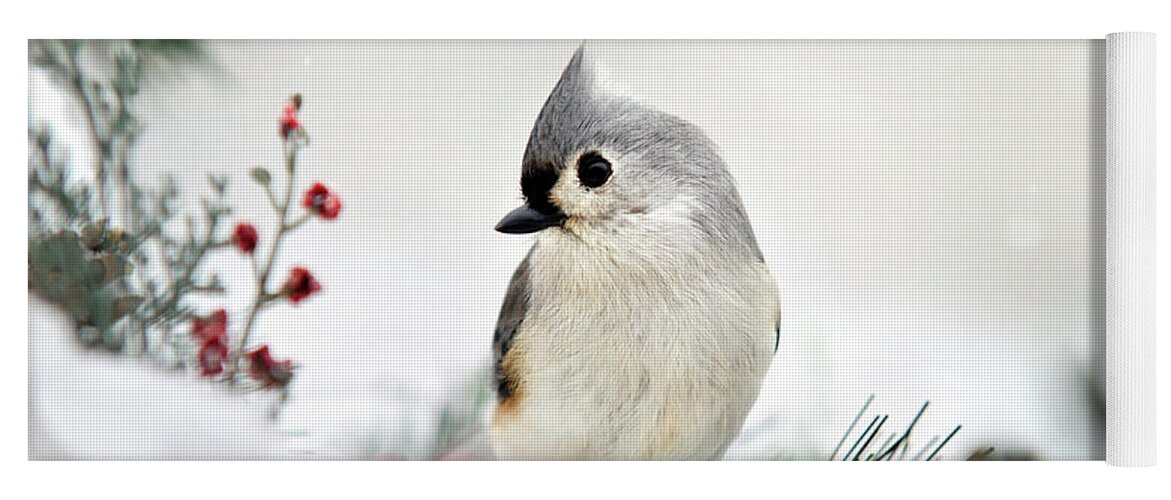 Birds Yoga Mat featuring the photograph Snow White Tufted Titmouse by Christina Rollo