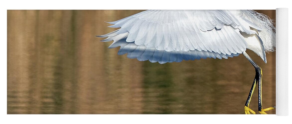 Snowy Egret Yoga Mat featuring the photograph Snowy Egret 5999-121921-2 by Tam Ryan
