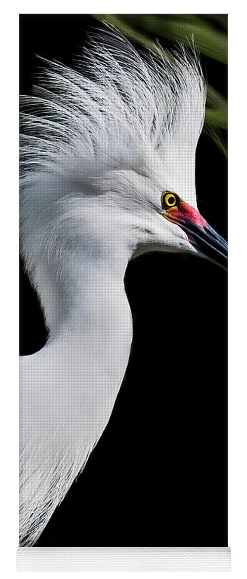Egret Yoga Mat featuring the photograph Snowy Egret Hair Do by Ginger Stein