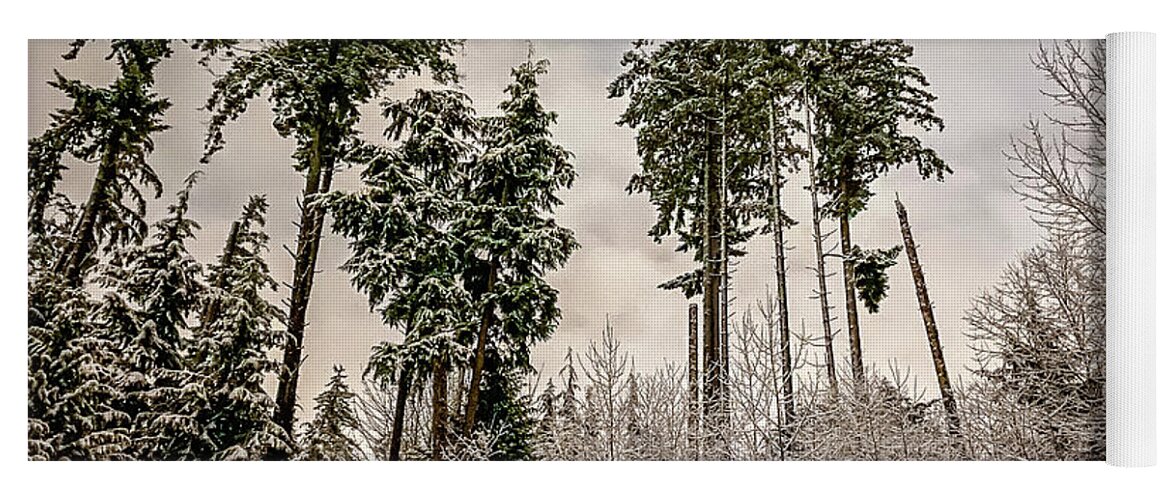 Forest Yoga Mat featuring the photograph Snowy Forest by Anamar Pictures