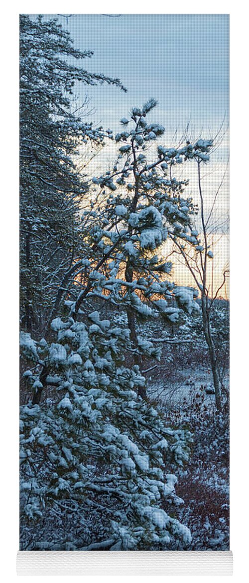 New Jersey Yoga Mat featuring the photograph Snowy Sunrise in the Pines by Kristia Adams