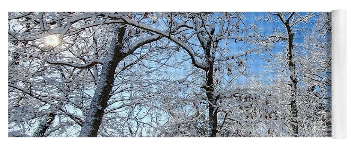 Snow Covered Yoga Mat featuring the photograph Snowy Trees and Blue Sky by Stacie Siemsen