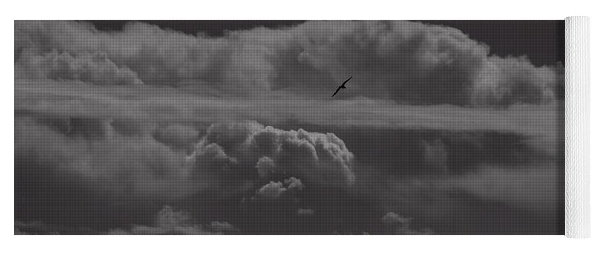 Bird Yoga Mat featuring the photograph Soaring with the Clouds by fototaker Tony