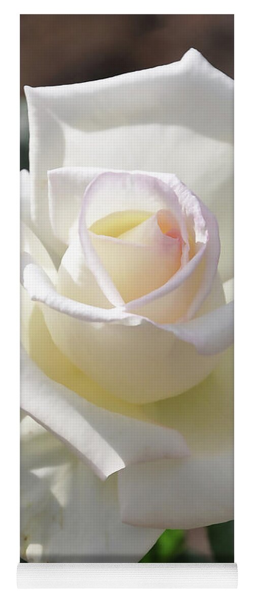 White-rose Yoga Mat featuring the digital art Soft White Rose Bloom by Kirt Tisdale