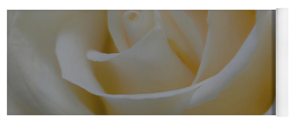 Soft White Rose Yoga Mat featuring the photograph Soft White Rose by Michelle Wittensoldner