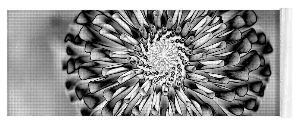 Solarize; Meadowlark Garden Center; Dahlia; Flower; Black And White Yoga Mat featuring the photograph Solarized Dahlia by Georgette Grossman