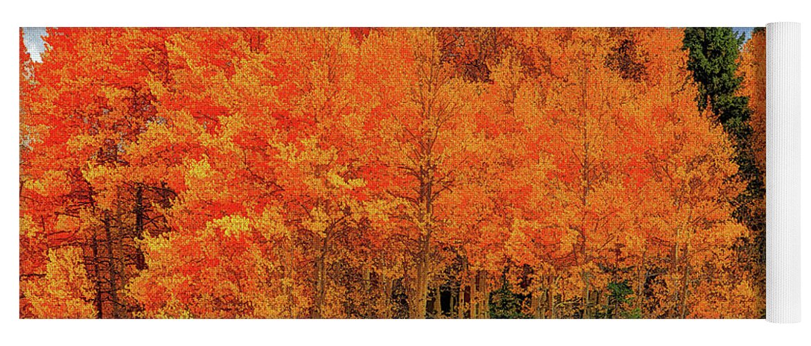 Foliage Yoga Mat featuring the photograph Solid Gold-Digital Art by Steve Templeton