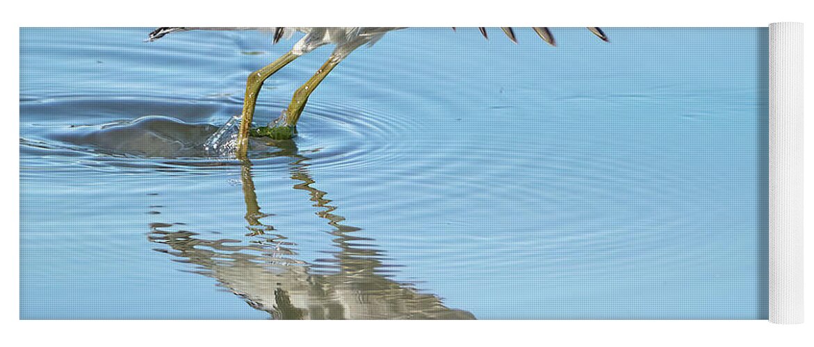 Chevalier Solitaire Yoga Mat featuring the photograph Solitary sandpiper by Carl Marceau