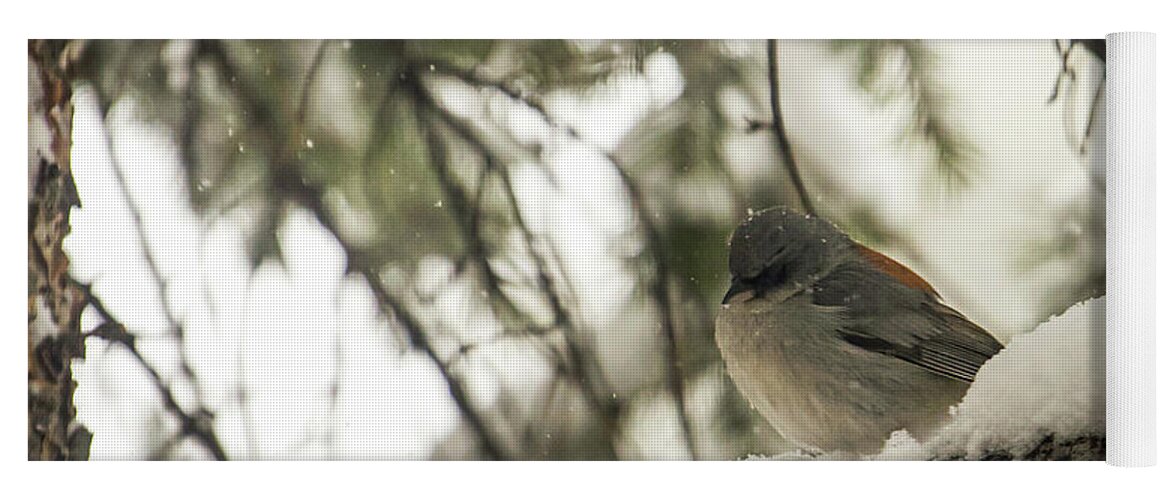 Wildlife Yoga Mat featuring the photograph Songbird in Winter by Laura Putman