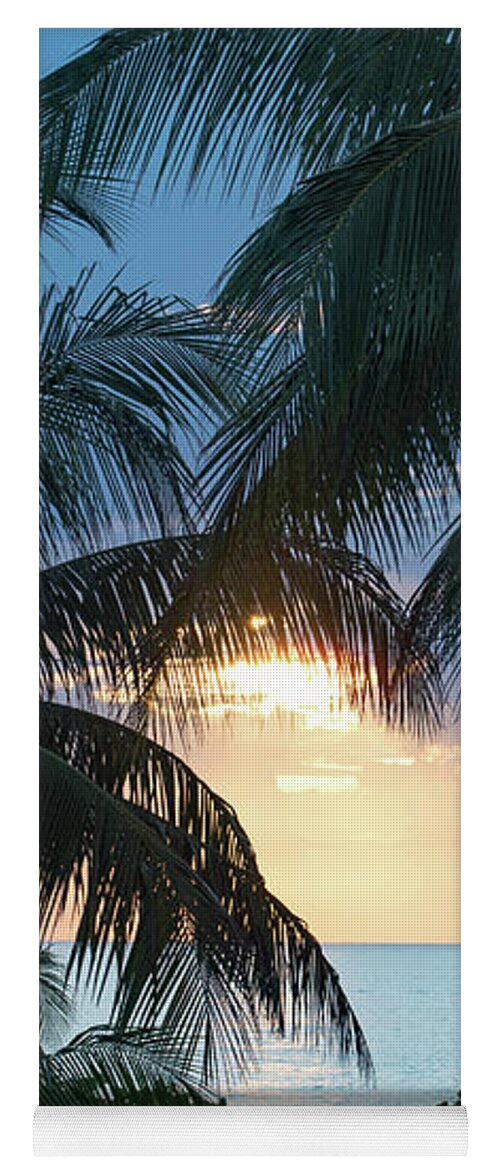 Palm Yoga Mat featuring the photograph South Beach Miami Palm Trees at Sunset by Beachtown Views