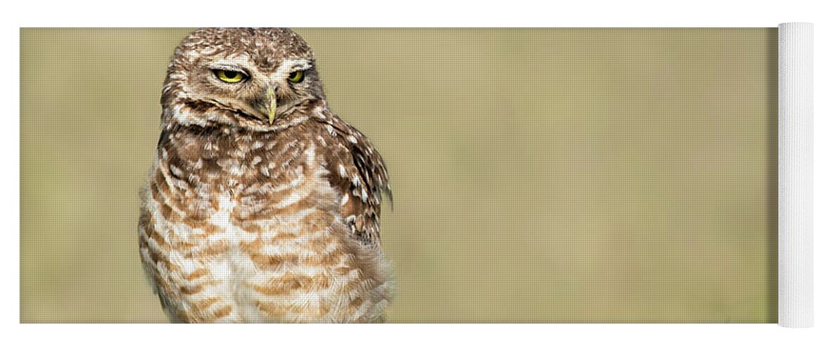 Amazon Yoga Mat featuring the photograph Southern Burrowing Owl Scowl by Linda Villers