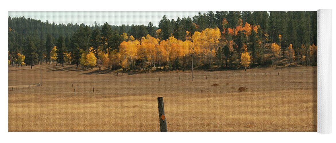 Fall Colors Yoga Mat featuring the photograph Spark of Golden Fall by Cathy Anderson