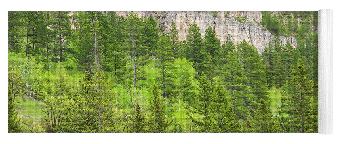 Spearfish Canyon Yoga Mat featuring the photograph Spearfish Canyon by Larry Bohlin