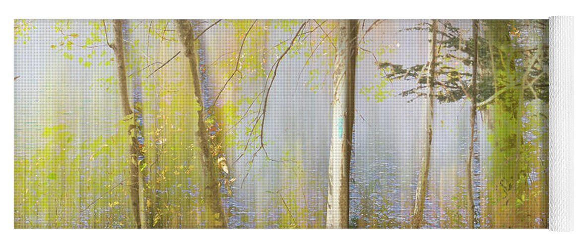 Woodland Magic Yoga Mat featuring the photograph Spencer Pond Late Autumn by Lili Feinstein