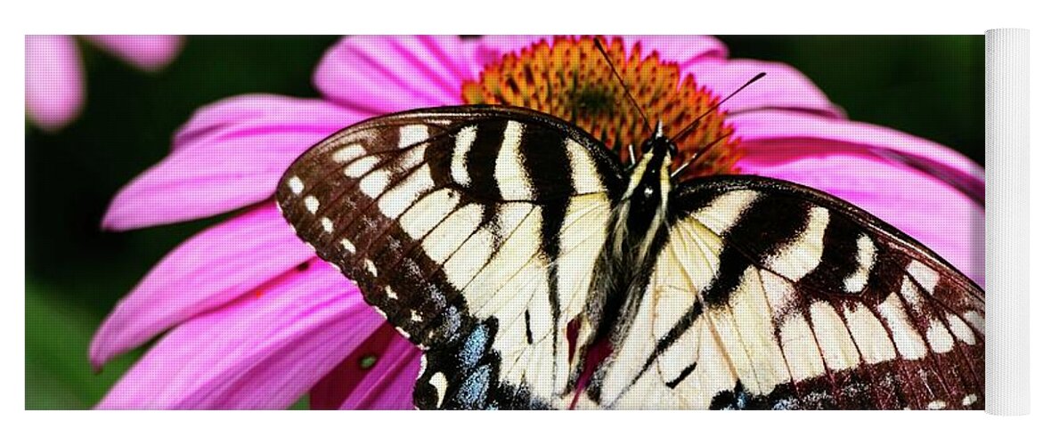 Butterfly Yoga Mat featuring the photograph Spicebush Swallowtail Butterfly 4 by Steven Ralser