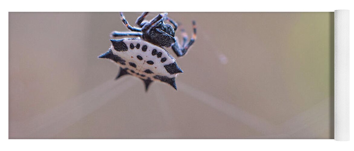 Spider Yoga Mat featuring the photograph Spider Macro by Karen Rispin