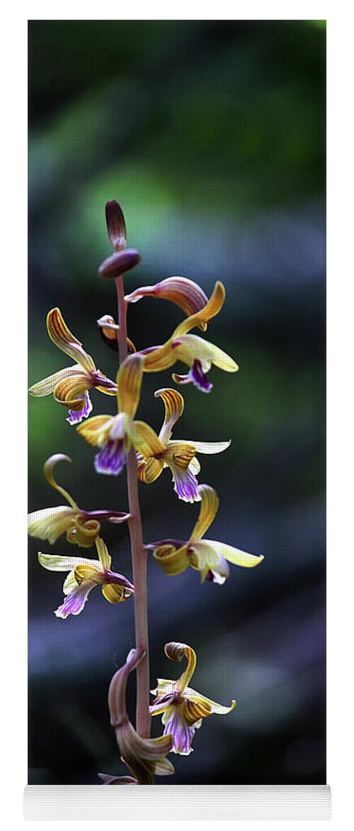  Yoga Mat featuring the photograph Spiked Crested Coralroot by William Rainey