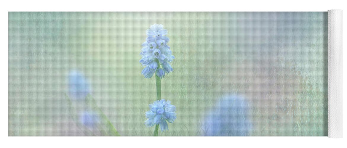 Spring Flowers Yoga Mat featuring the photograph Spring Ephemeral with Texture - Muscari by Patti Deters