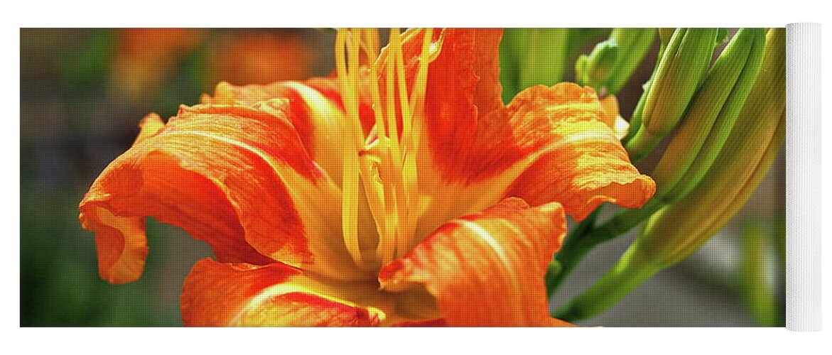 Orange Yoga Mat featuring the photograph Spring Flower 14 by C Winslow Shafer