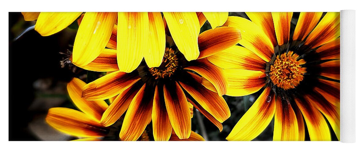 Orange Yoga Mat featuring the photograph Spring Flowers by Dave Zumsteg