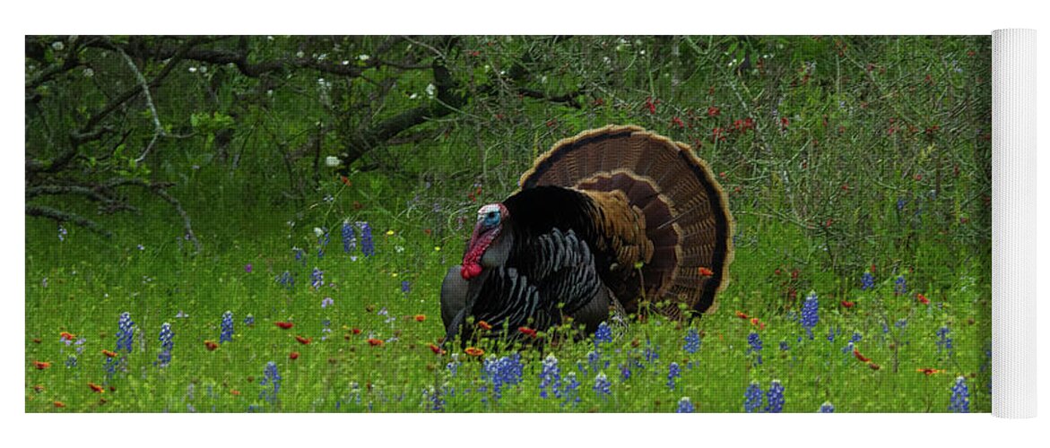 Texas Bluebonnets Yoga Mat featuring the photograph Spring Gobbler by Johnny Boyd
