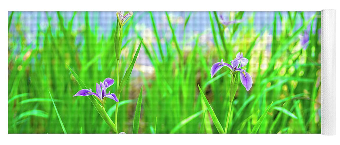 Spring In Florida Yoga Mat featuring the photograph Spring In Florida, Wild Irises By The Water by Felix Lai