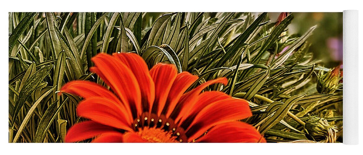 Flower Yoga Mat featuring the photograph Spring Orange Flowers by Dave Zumsteg