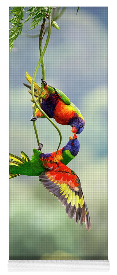 Rainbow Lorikeets Yoga Mat featuring the photograph Squabbling rainbow lorikeets by Sheila Smart Fine Art Photography