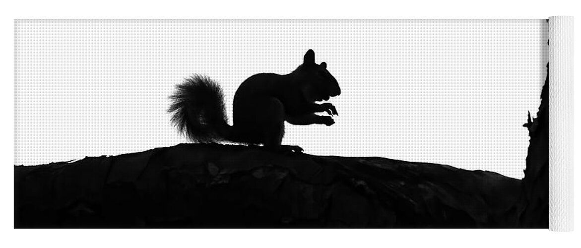 Georgia Yoga Mat featuring the photograph Squirrel Silhouette by Jennifer Robin