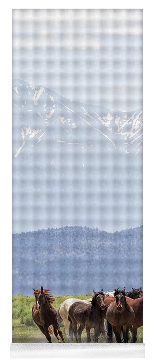 Eastern Sierra Yoga Mat featuring the photograph Stampede by Cheryl Strahl