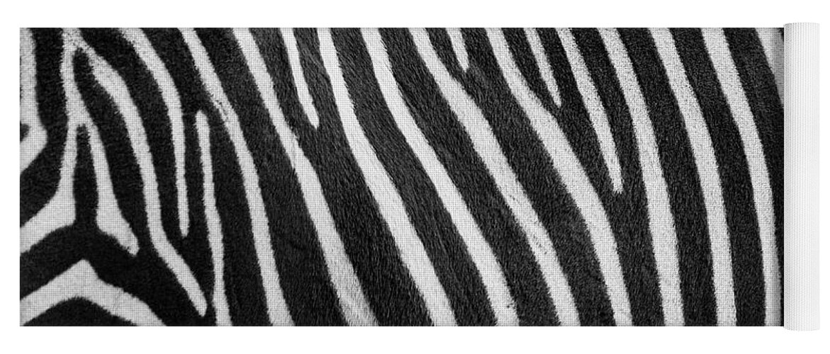 Zoo Boise Yoga Mat featuring the photograph Stripes by Melissa Southern