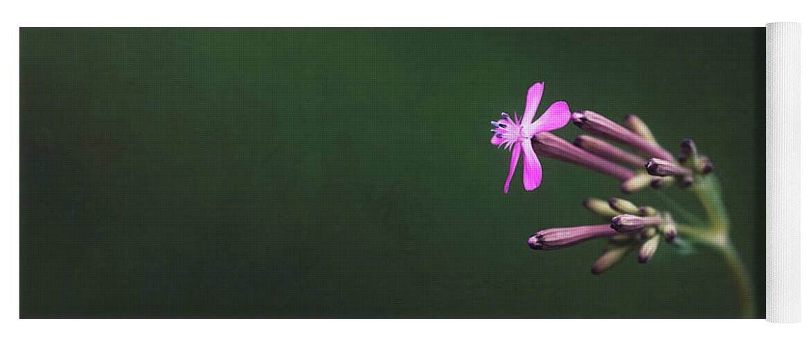 Flower Yoga Mat featuring the photograph Strive by Scott Norris
