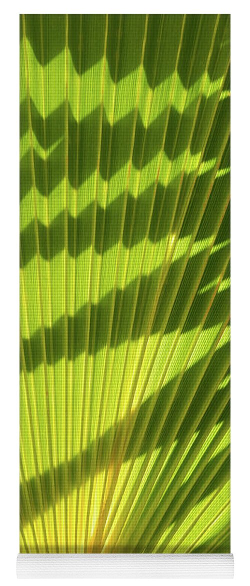 Palm Leaf Yoga Mat featuring the photograph Structure of green palm leaf with shadows 1 by Adriana Mueller